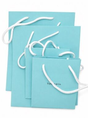 Authentic Tiffany & Co Bags | Lot of 4